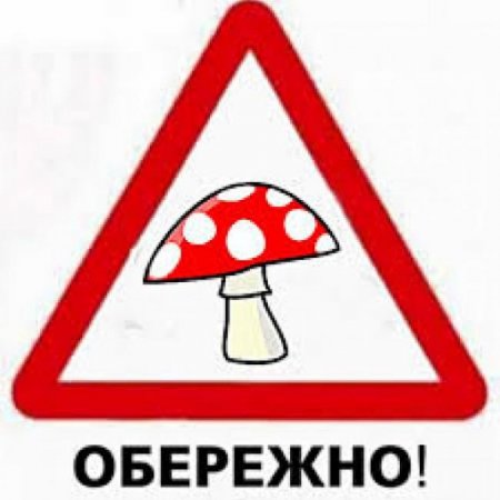 Обережно - гриби!