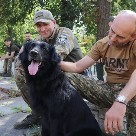 Сеанси каністерапії для військових у центрі «Життя»