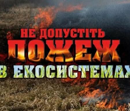 Кількість пожеж у природних екосистемах зростає